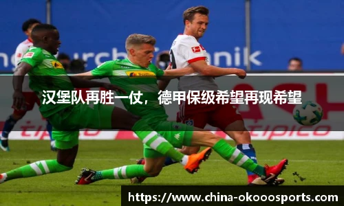 汉堡队再胜一仗，德甲保级希望再现希望